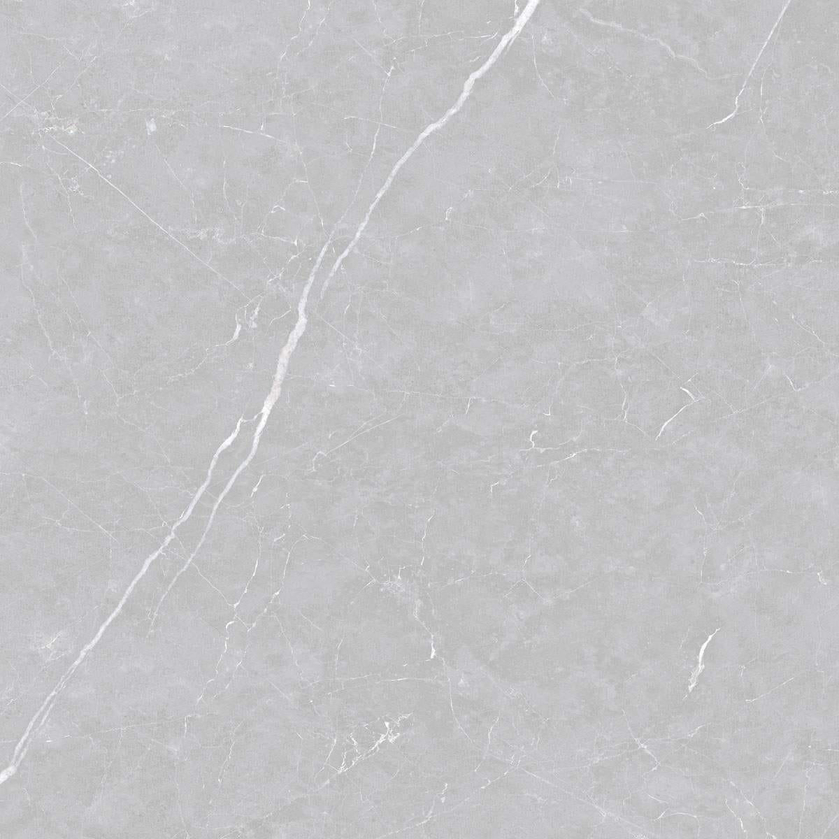 Porcelanato Polido 120x120 Venato Argenta Delta Nova
