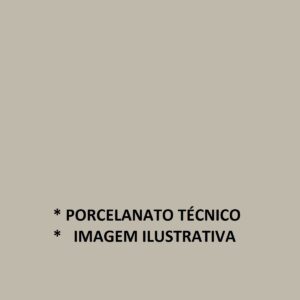 Delta Avório Porcelanato Técnico Polido 62x62